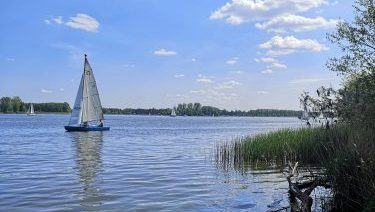 267540106 116318024214938 1892731570939087251 n e1643719425844