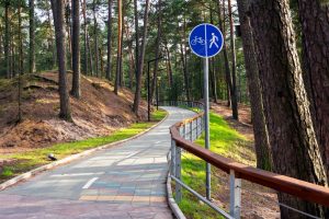 kreta sciezka rowerowa w letnim parku wsrod sosen 585982 244