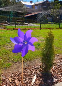 94639388 2923005827778563 8823601145277579264 n