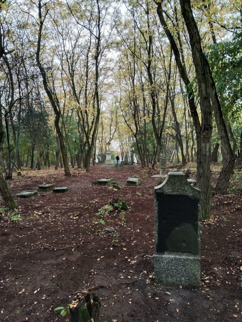 311985721 484175413752094 5613955099736593803 n e1666778301736