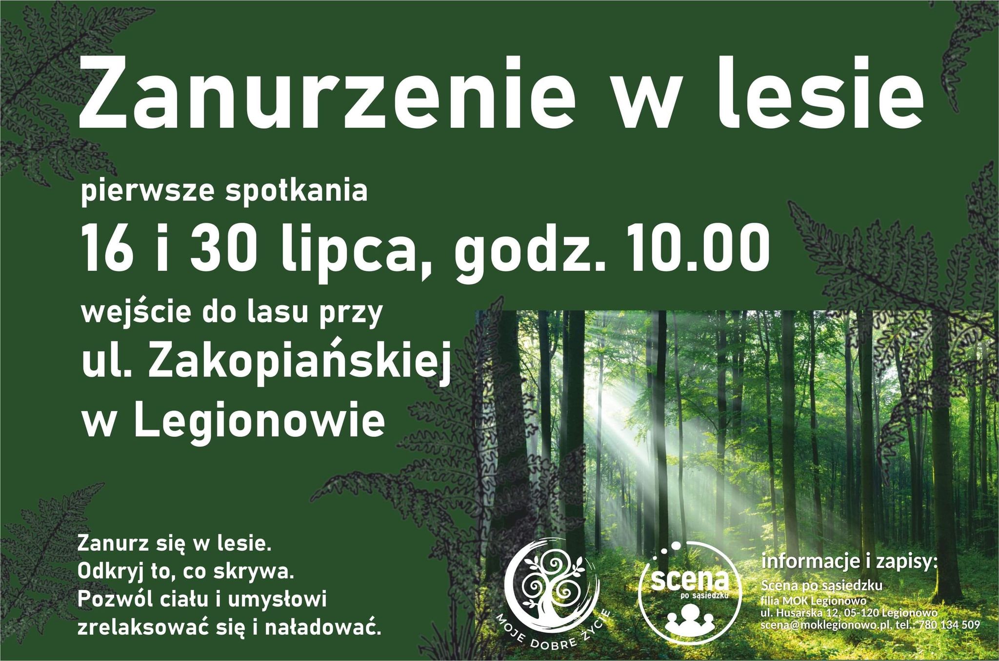 Zanurzenie w lesie - plakat promujący wydarzenie