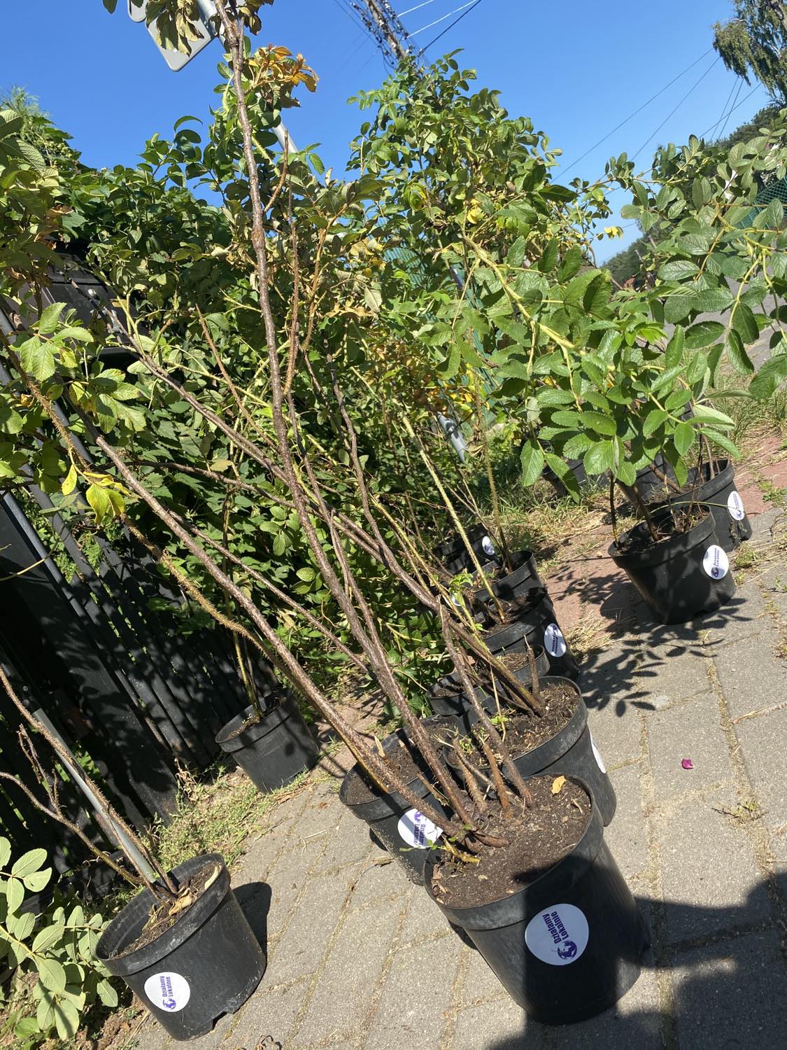 379984816 609986607957271 3028956573951717380 n