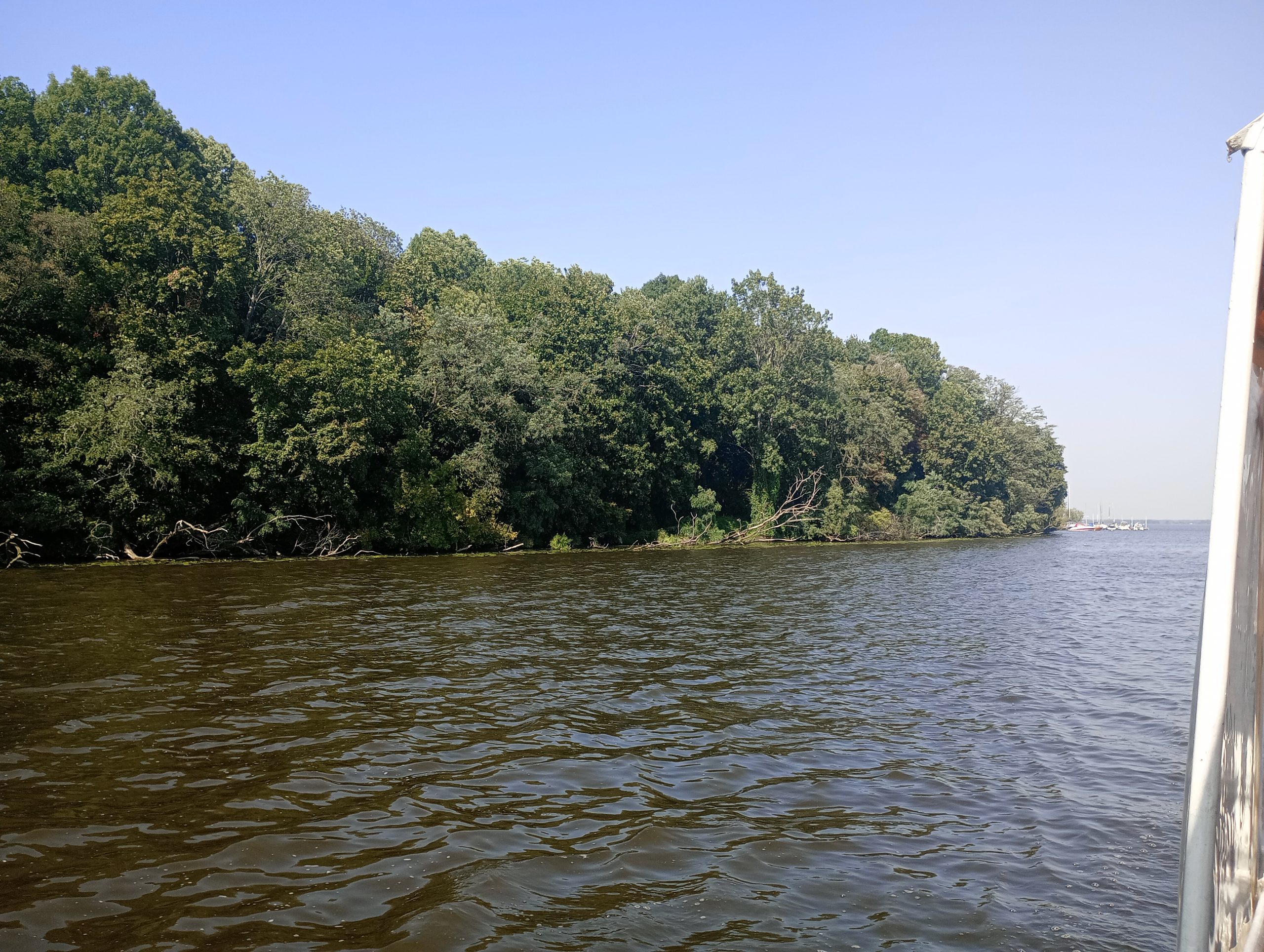 IMG 20240906 133628