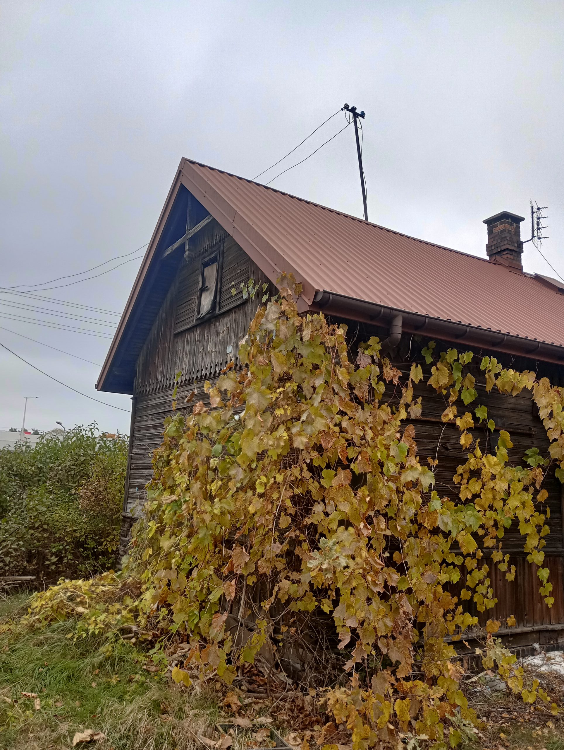 IMG 20241023 113654 HDR